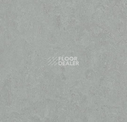 Линолеум Forbo Marmoleum Marbled Fresco 3889-388935 cinder фото 1 | FLOORDEALER